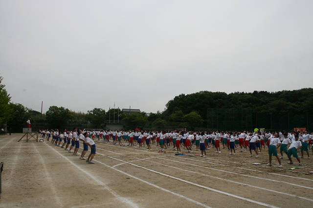 resize2973.jpg
