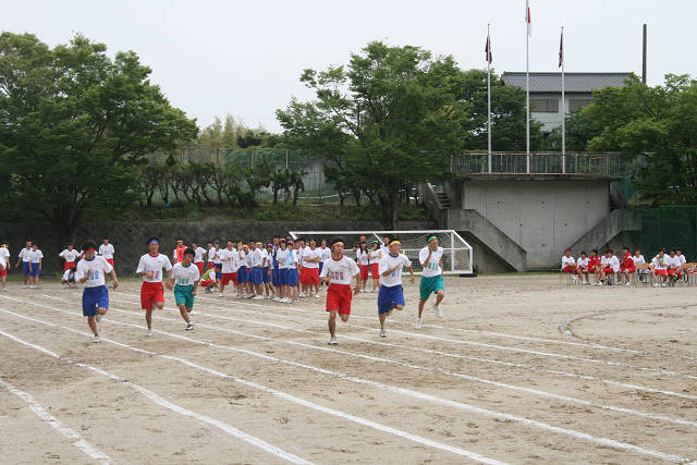 resize2982.jpg