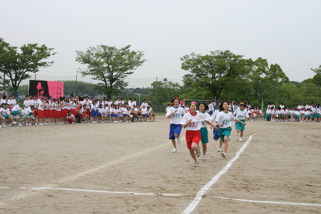 resize2985.jpg
