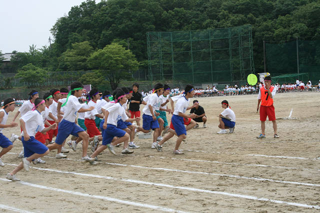 resize2987.jpg