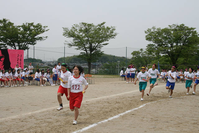resize2990.jpg