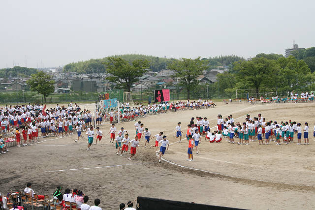 resize2991.jpg