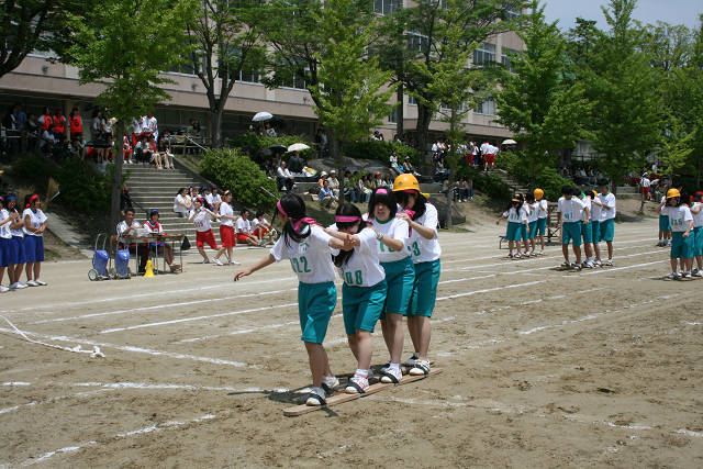 resize2993.jpg