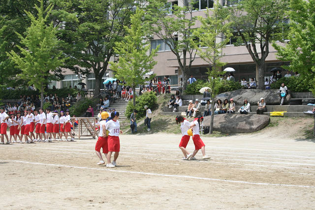 resize2996.jpg
