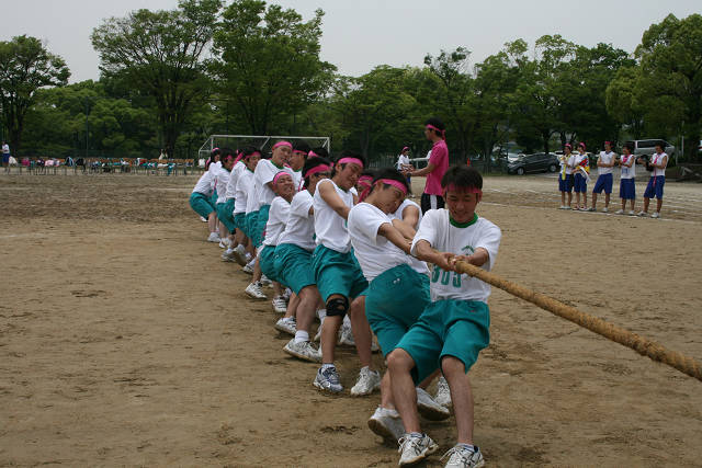resize2997.jpg
