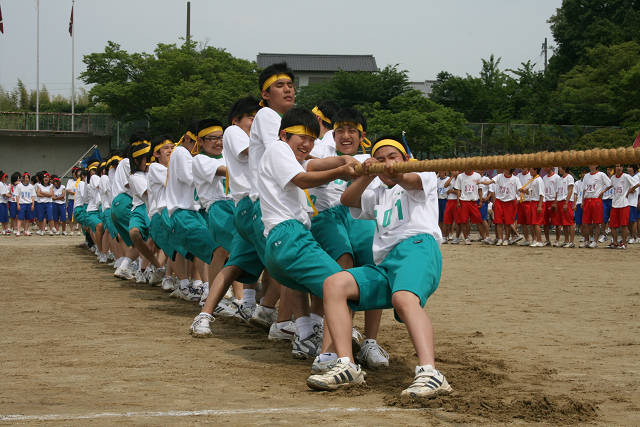 resize3002.jpg