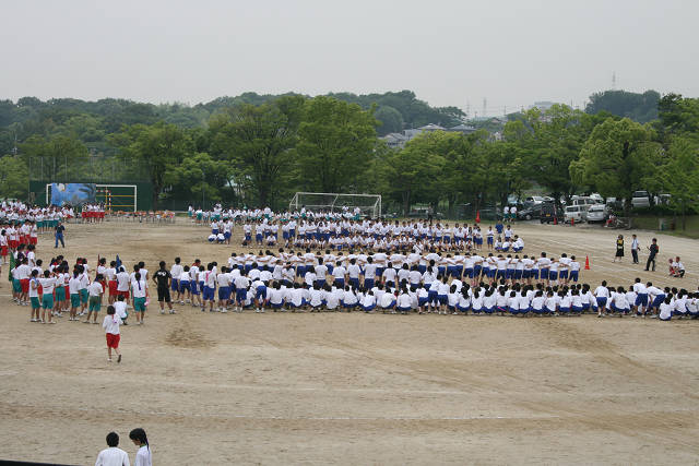 resize3004.jpg