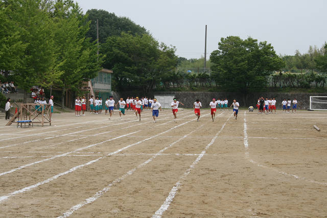 resize3005.jpg