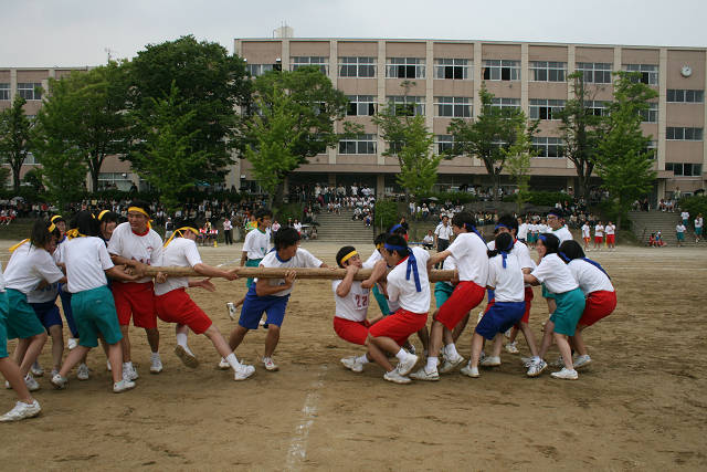 resize3006.jpg