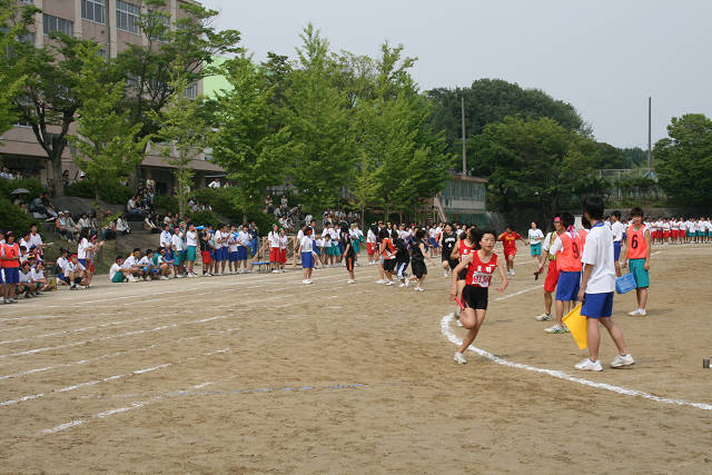 resize3014.jpg