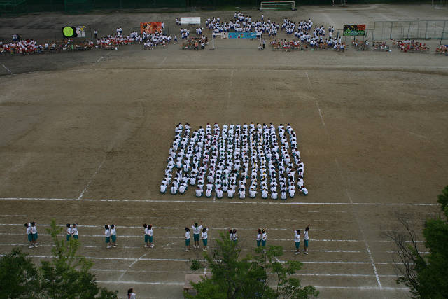 resize3019.jpg