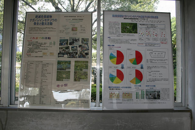resize0117.jpg