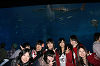 resize0272_thumb.png