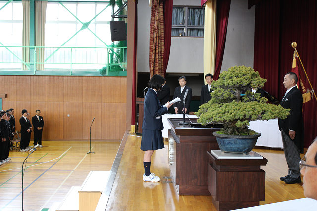 resize0101.jpg