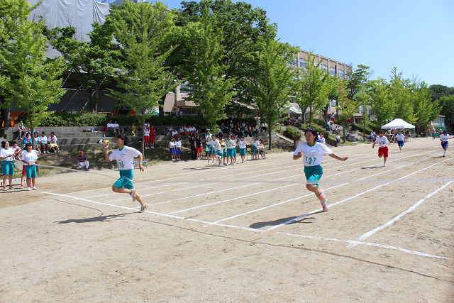 resize0525.jpg