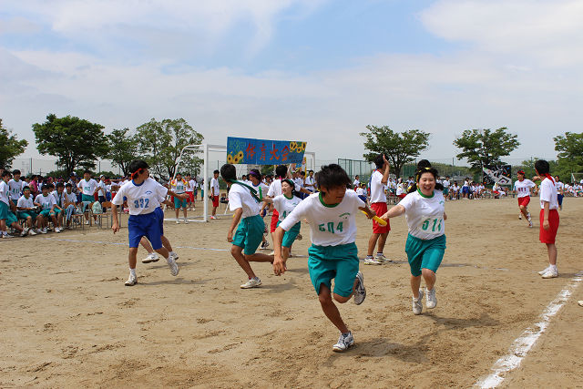 resize0533.jpg