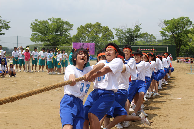 resize0542.jpg