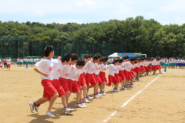 resize0543.jpg