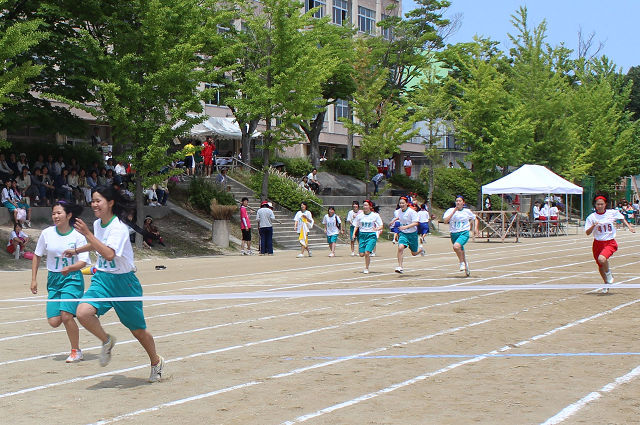 resize0544.jpg