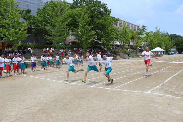 resize0545.jpg