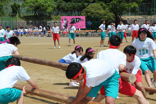 resize0546.jpg