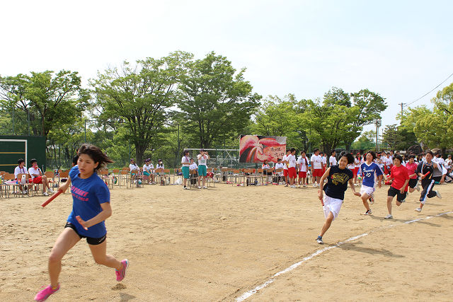 resize0552.jpg