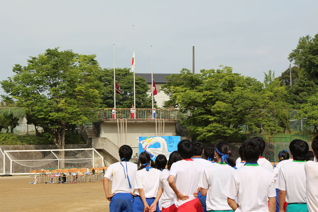 resize0565.jpg