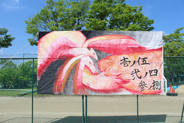 resize0582.jpg