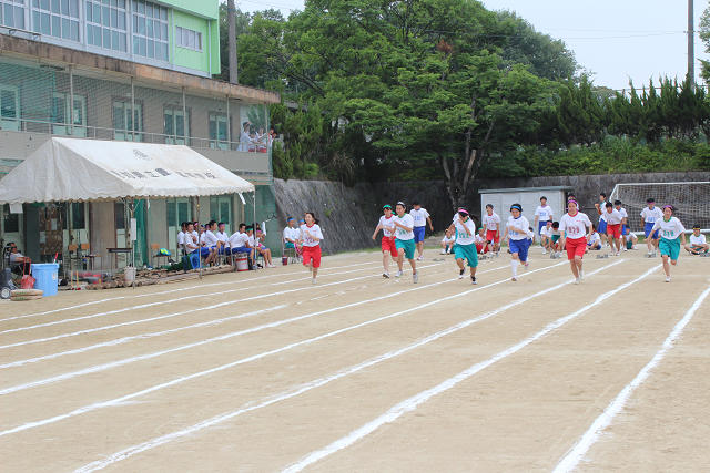 resize0008.jpg