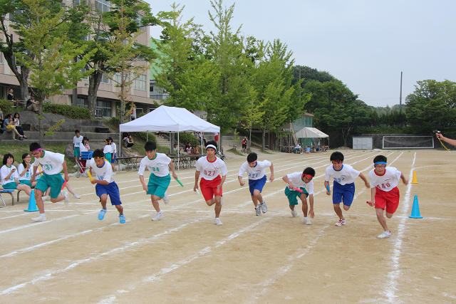 resize0014.jpg