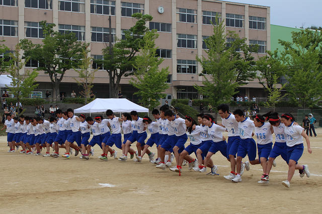 resize0026.jpg
