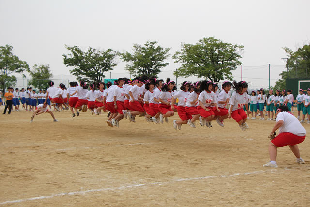 resize0027.jpg